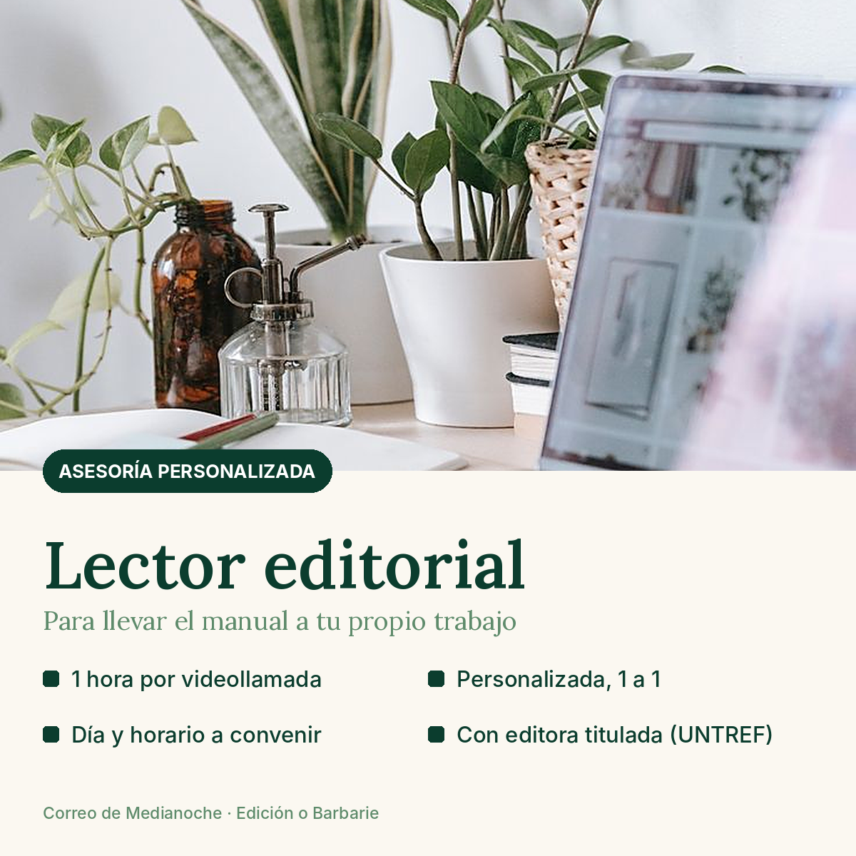 Asesoría personalizada de lector editorial (1 hora por videollamada)